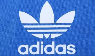 adidas三叶草